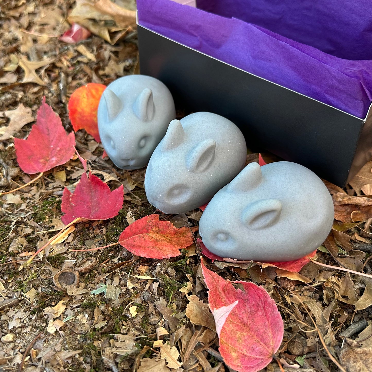 Necrarbor's "Letter Writing Campaign" Celebratory Baby Bun Soap Set