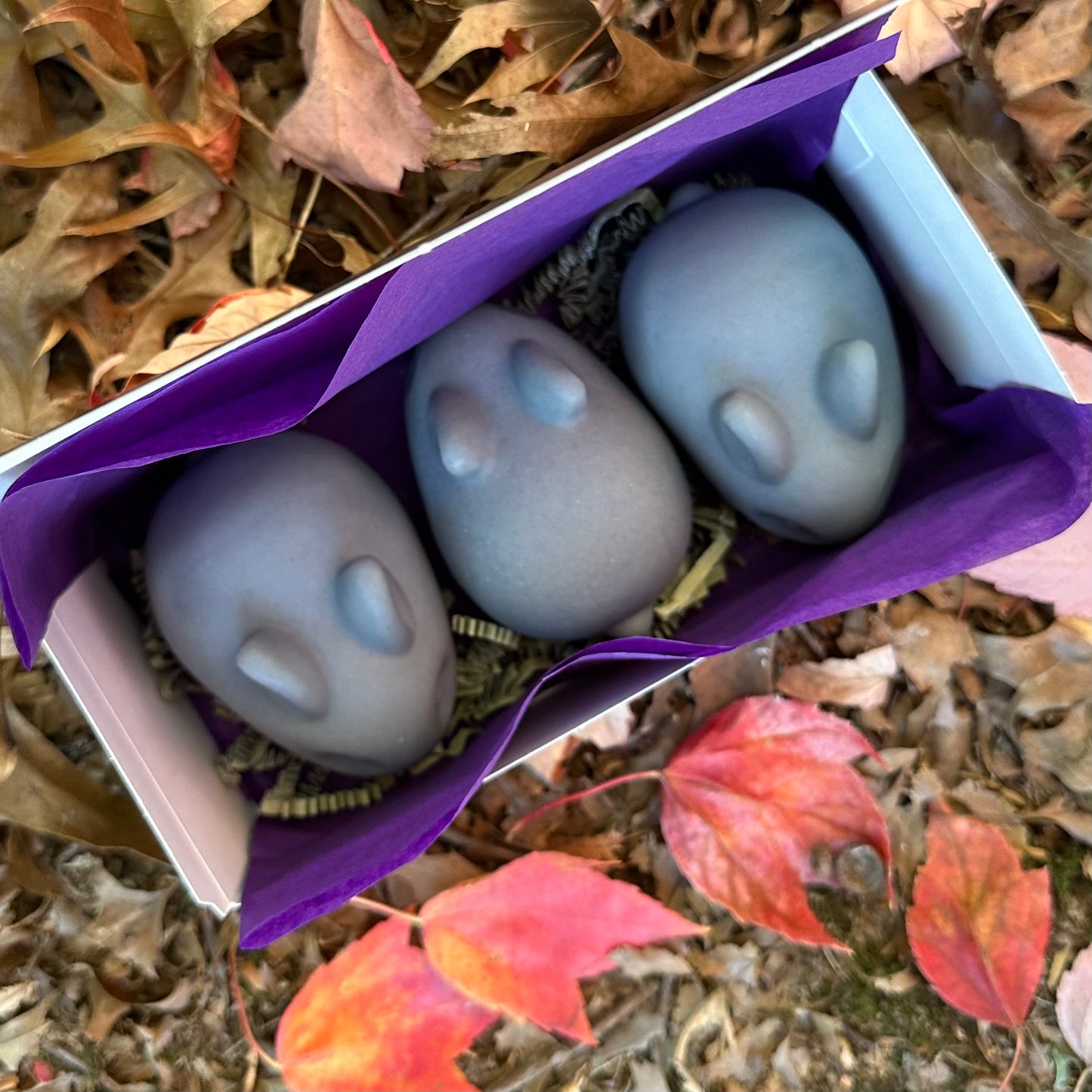 Necrarbor's "Letter Writing Campaign" Celebratory Baby Bun Soap Set