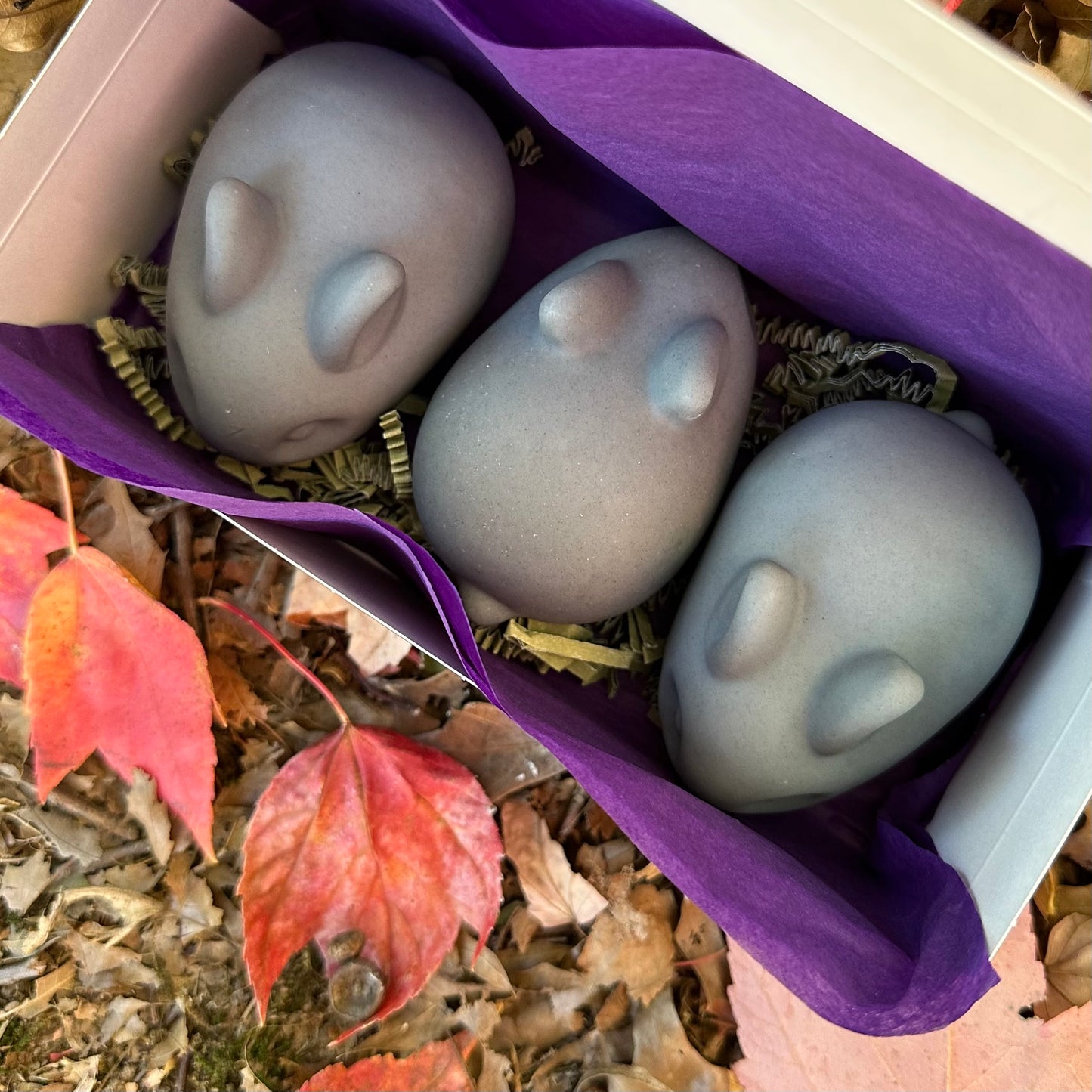 Necrarbor's "Letter Writing Campaign" Celebratory Baby Bun Soap Set